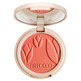 Colorete Silky Powder Blush Artdeco Green 20 (Terracotta Cheeks)